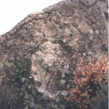 Click para ampliar. Pulsa en el nombre para ver la ficha. Piedra Escrita 13 - Fachada trasera: el oso